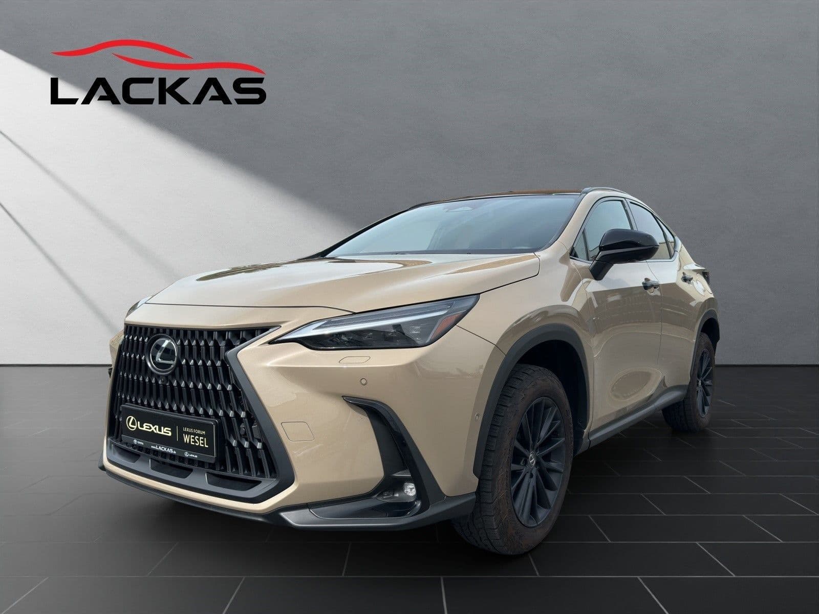 Lexus NX 350h Overtrail 4x4 Panorama Dach 2024